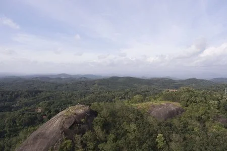 “God’s Own Country Kerala” Cochin-Munnar-Allepey-Periyar-Kumarakom Tour