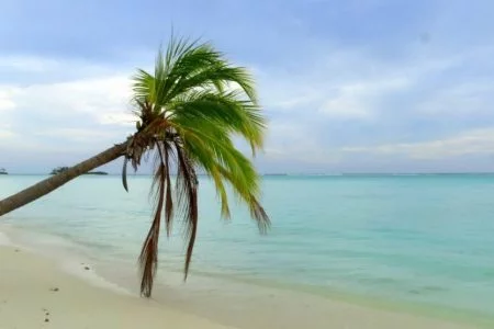 Gorgeous Goa Tour 03 Night/ 04 days