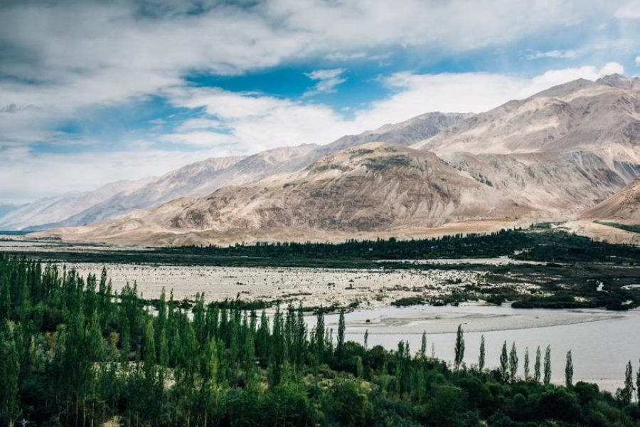 Wildlife Tour In Leh Ladakh (05 Nights 06 Days )