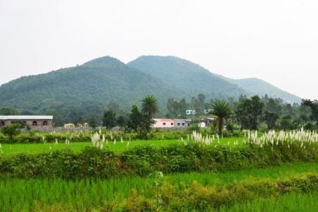 Nature and Bounty in West Bengal  6 Night / 7 Days