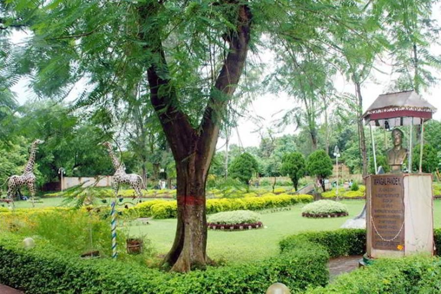 Lataguri & Sumsing  Holidays Tour 2 Nights / 3 Days