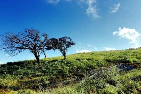 Mizoram Package ( 05 Night / 06 Days )