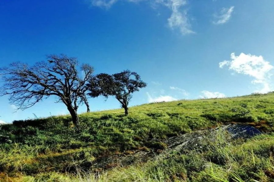 Mizoram Package ( 05 Night / 06 Days )