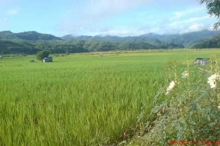 Mizoram Tour Package ( 04 Night / 05 Days )