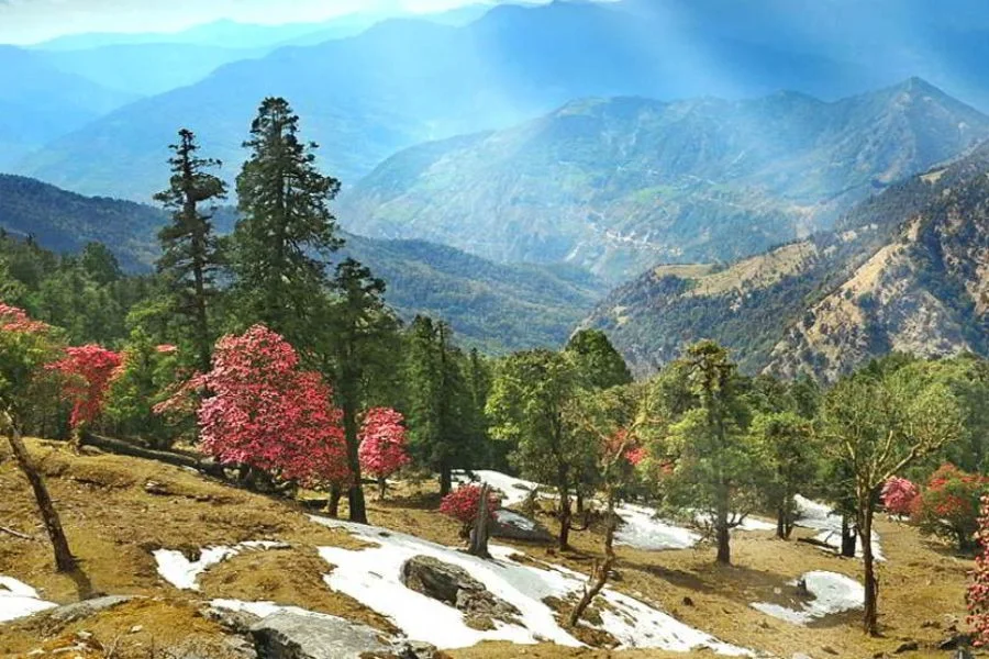 Kausani, Almora Tour (04 Night / 05 Days)
