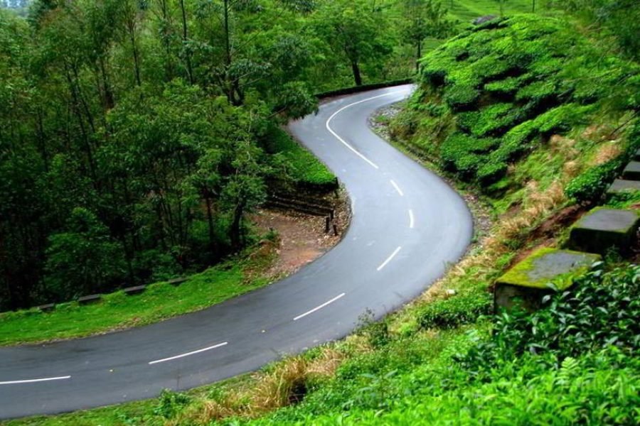 Binsar Tour (03 Nights /04 Days )