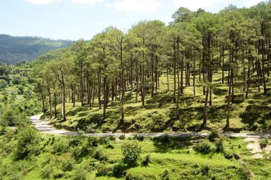 MUSSOORIE RISHIKESH TOUR (03 N/04 D)