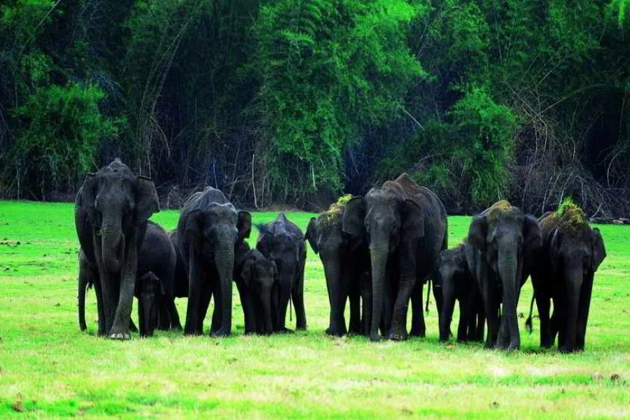 Karnataka Hills Package (06 Night/07 Days)