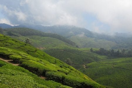 “Unforgettable Himachal” Shimla and Kasauli Tour