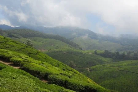 “Unforgettable Himachal” Shimla and Kasauli Tour