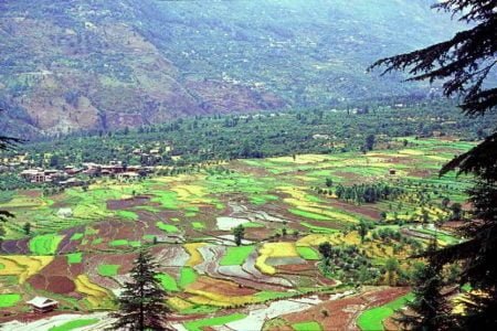 “Unforgettable Himachal” Shimla, Tattapani and Karsog Valley Tour