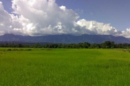 DIBRUGARH-SIVASAGAR- KAZIRANGA-GUWAHATI(06 Night & 07 Days)