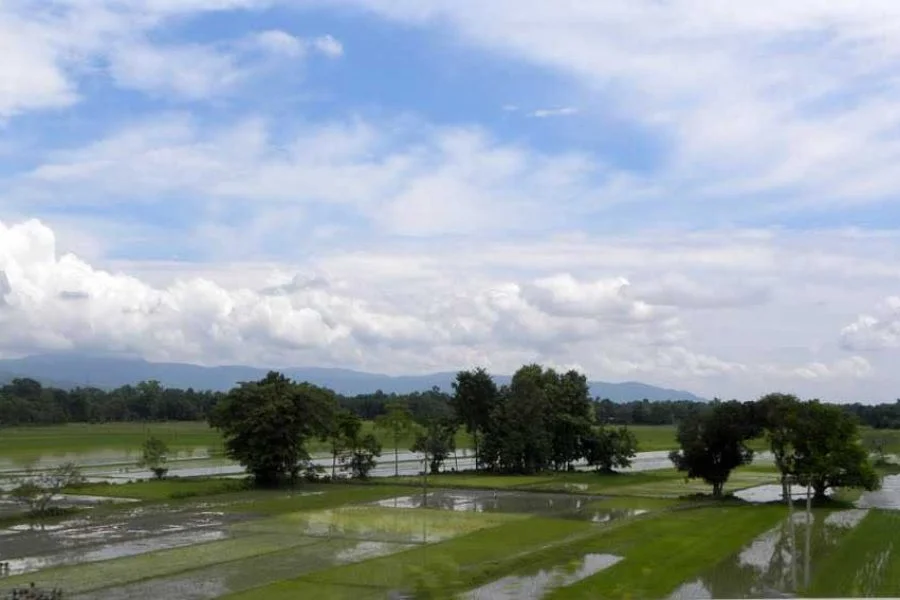Guwahati Shillong Tour 04 Nights / 05 Days