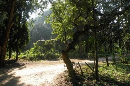 Bhalukpong, Dirang , Tawang, Bomdila & Tezpur Holidays tour 06 Night 07 Days