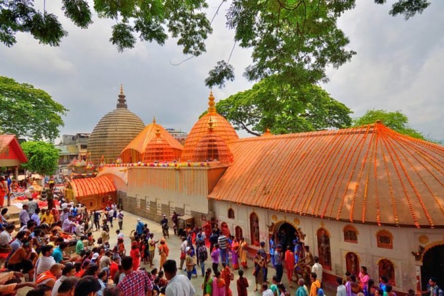 Manas National Park (Assam)Adventure Tour (02 Nights & 03 Days)