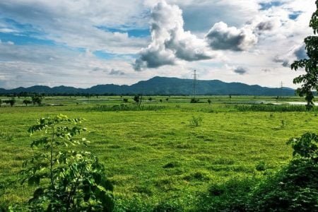 Assam Guwahati Itinerary 7 Nights 8 Days