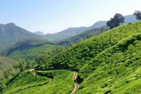 Assam Adventure Tour 2 Nights 3 Days