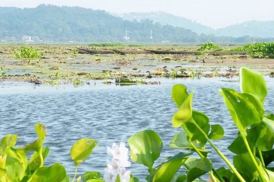 Magic of Meghalaya Tour (04 Nights & 05 Days)