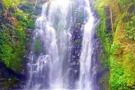 Joyful Assam Holidays Tour 2 Nights 3 Days