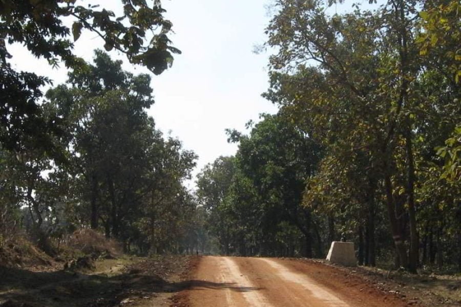 Bilaspur / Thinthini Patthar / Jogimara Caves Holiday Tour 03 Night/ 04 Days