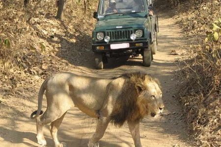 Dwarka Holiday Tour 02 nights 03 days