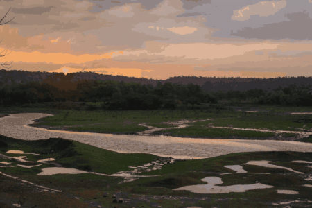 Hansi Tour Package (01 Night / 02 Days)