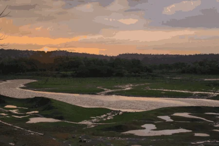 Hansi Tour Package (01 Night / 02 Days)