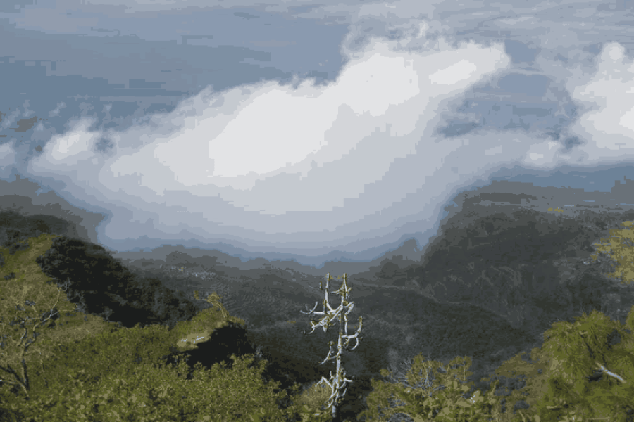 Hansi Tour Package (02 Nights / 03 Days)