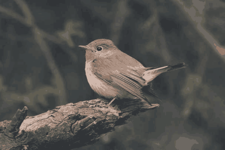 Chhachhrauli Tour Package (02 Nights / 03 Days)