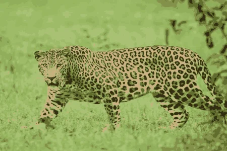 Ellenabad Tour Package (02 Nights 03 Days)