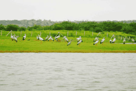 Gurugram Tour Package (01 Nights 02 Days)