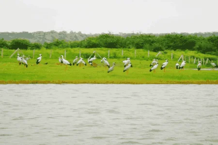 Gurugram Tour Package (01 Nights 02 Days)