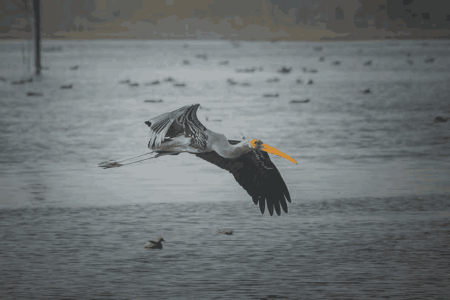 Balwal Tour Package (02 Nights / 03 Days)