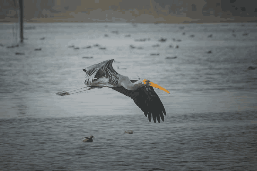 Gurugram , Karnal Tour Package (02 Nights 03 Days)