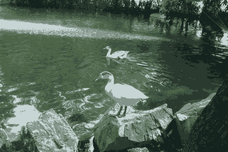 Chhachhrauli Ellenabad Tour Package (05 Nights / 06 Days)