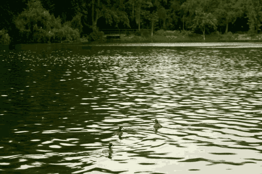 (Mystic Ranchi Holiday Tour (08 Nights/09 Days)