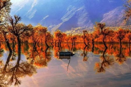 Ex Jammu Kashmir Holidays Tour 06 Nights 07 Days