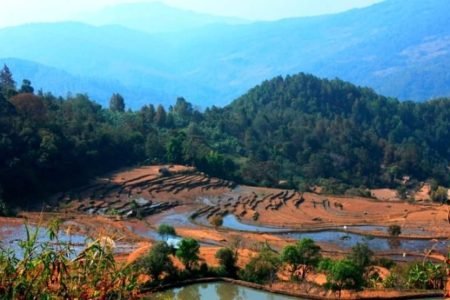 Kashmir Holidays Tour 04 Nights 05 Days