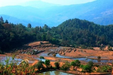 Kashmir Holidays Tour 04 Nights 05 Days