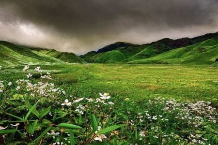 DZUKOU VALLEY TREK 04 NIGHTS &  05 DAYS