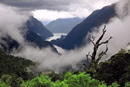 Dimapur Kohima Tour 04 Nights & 05 Days