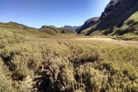 Assam/Nagaland/ManipurTour 06 Nights  & 07 Days