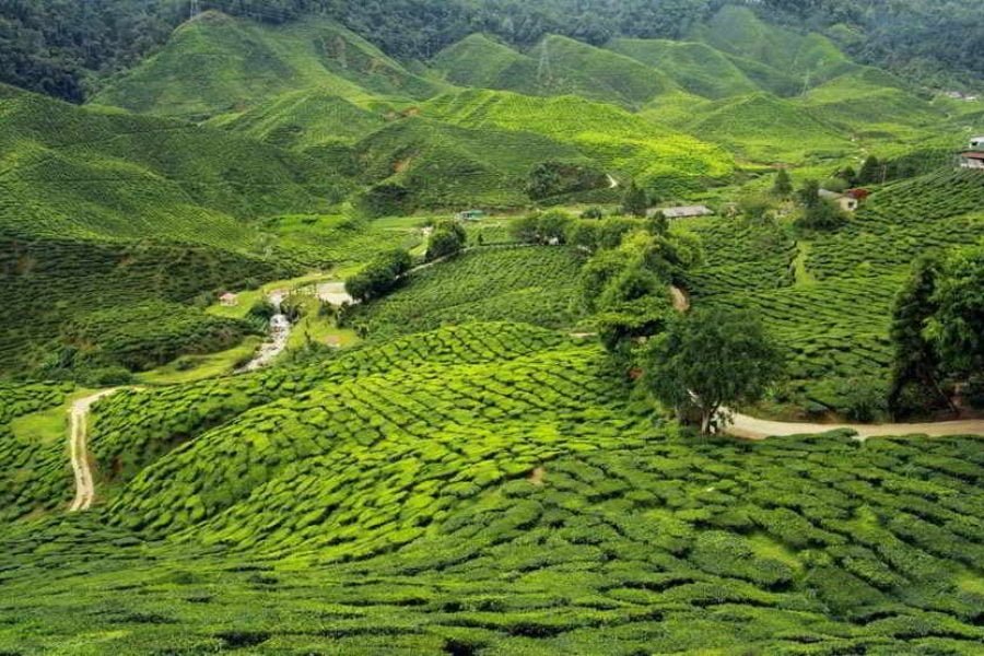 EXPLORE THE PARADISE IN MANIPUR 03 NIGHTS / 04 DAYS