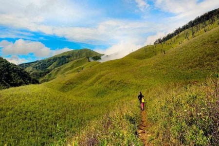 Tour Of Nagaland, The Virgin Greens( 09 Nights  & 10 Days)