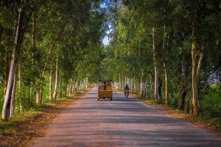 08 Nights 09 Days (Punjab tour with Manali)