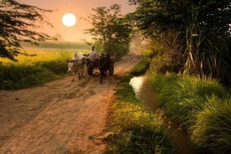 6 Nights 7 days (Punjab tour with Delhi)