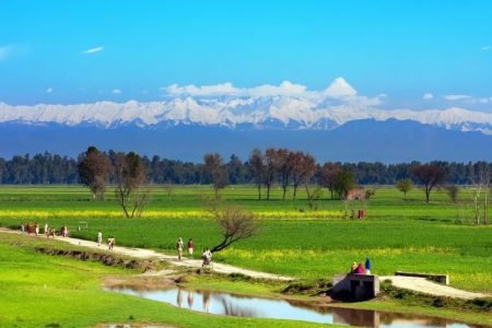 5 Sarovar Darshan Tour Package (1 Night / 2 Days)