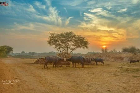 Amritsar – Dalhousie with Devi Darshan 4 Nights / 5 Days Tour
