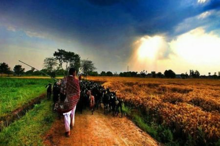 Gurdaspur Tour 02 Night/ 03 Days