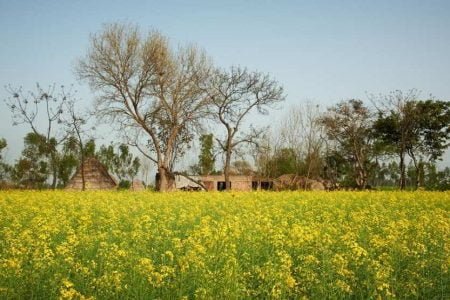 Punjab (Moga Heritage) Holiday Tour 03 Nights 04 Days